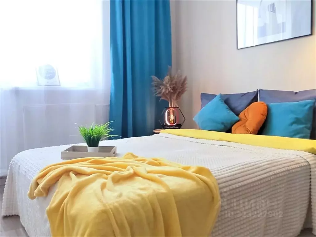 1-к кв. Московская область, Солнечногорск городской округ, Голубое пгт ... - Фото 2