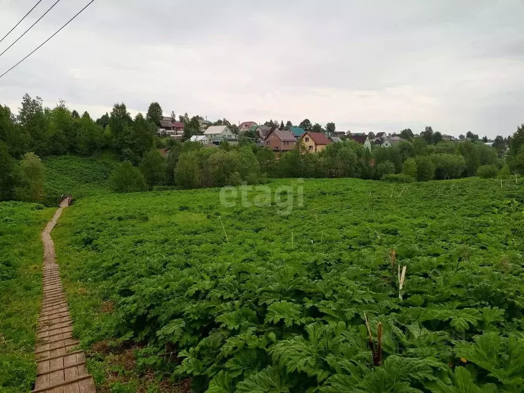 Участок в Коми, Сыктывдинский район, с. Выльгорт  (5.1 сот.) - Фото 2