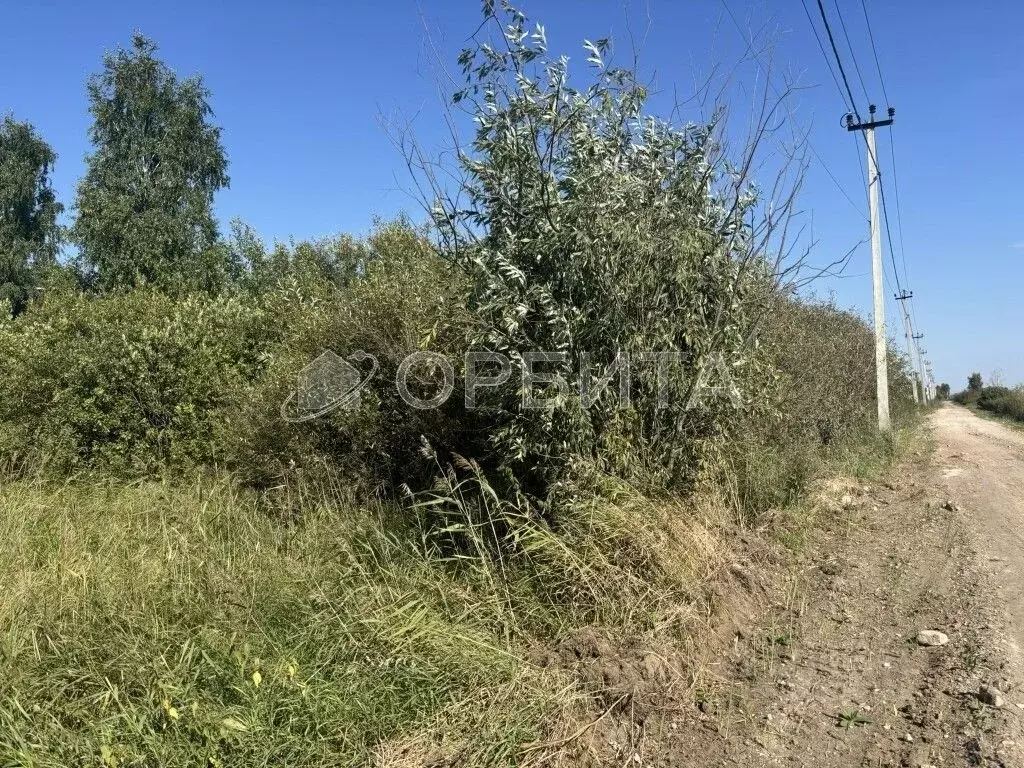 Участок в Тюменская область, Тюменский муниципальный округ, д. ... - Фото 2