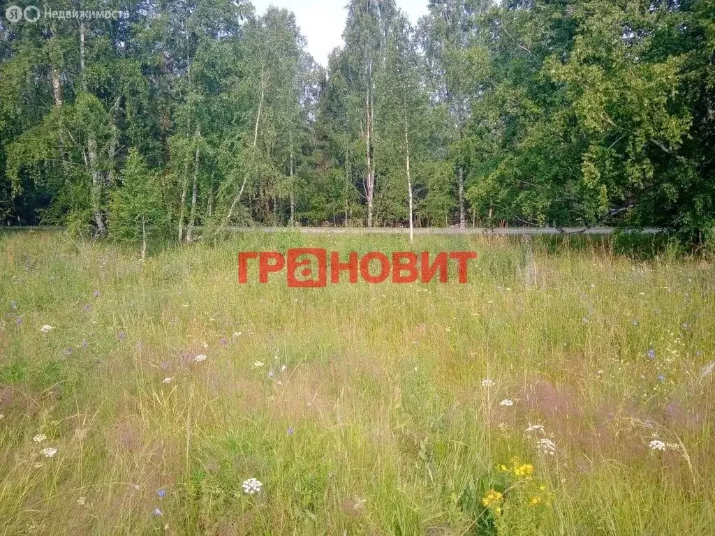 Участок в село Ташара, Восточная улица, 24 (11.55 м) - Фото 2