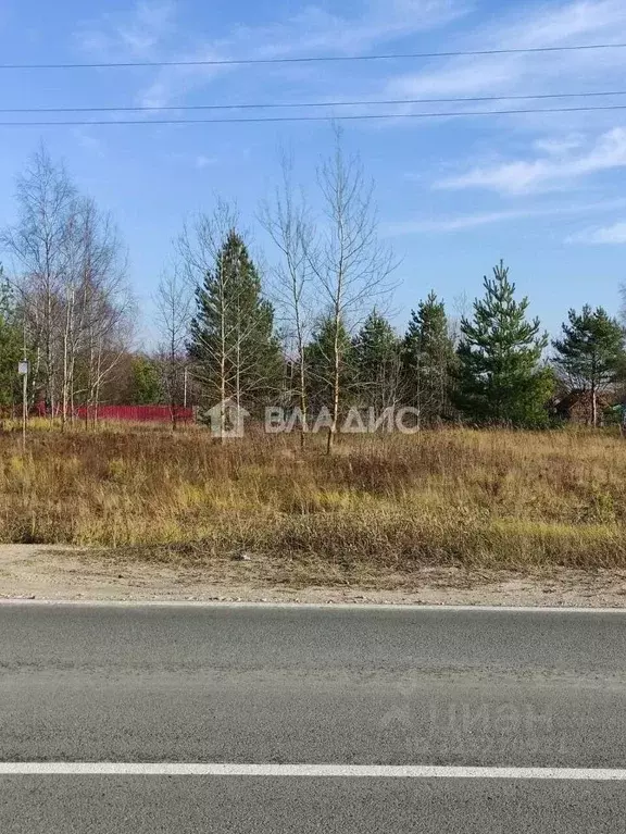 Участок в Владимирская область, Судогодский район, д. Трухачево 13 ... - Фото 1