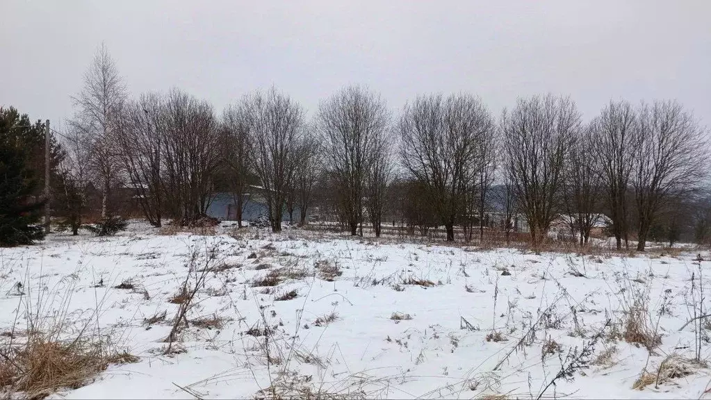 Участок в Московская область, Сергиево-Посадский городской округ, д. ... - Фото 1