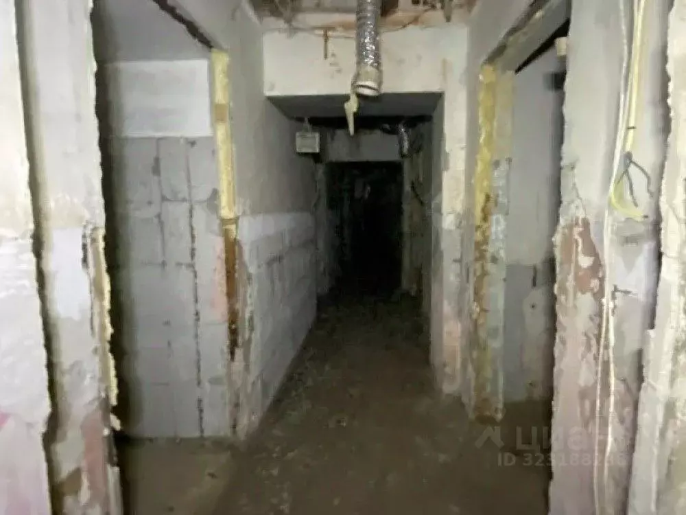 Торговая площадь в Москва Малая Сухаревская пл., 1С1 (132 м) - Фото 2