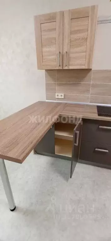 2-к кв. Новосибирская область, Новосибирский район, Краснообск рп, 3-й ... - Фото 0