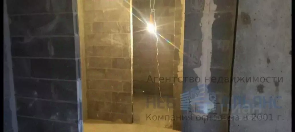 1-к кв. Ленинградская область, Гатчинский муниципальный округ, д. ... - Фото 2