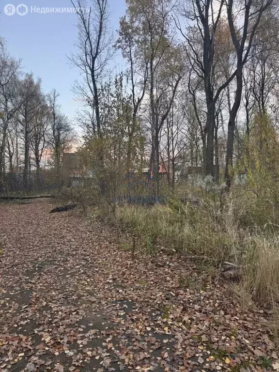 Участок в деревня Бачурино, Тюляевский проезд (8.3 м) - Фото 1