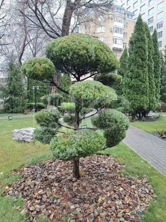 2-к кв. Воронежская область, Воронеж ул. Платонова, 18 (54.0 м) - Фото 1