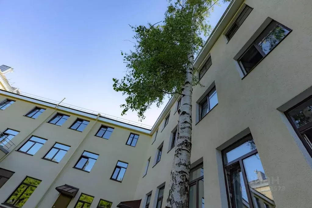 Помещение свободного назначения в Санкт-Петербург пер. Майков, 4а (25 ... - Фото 2