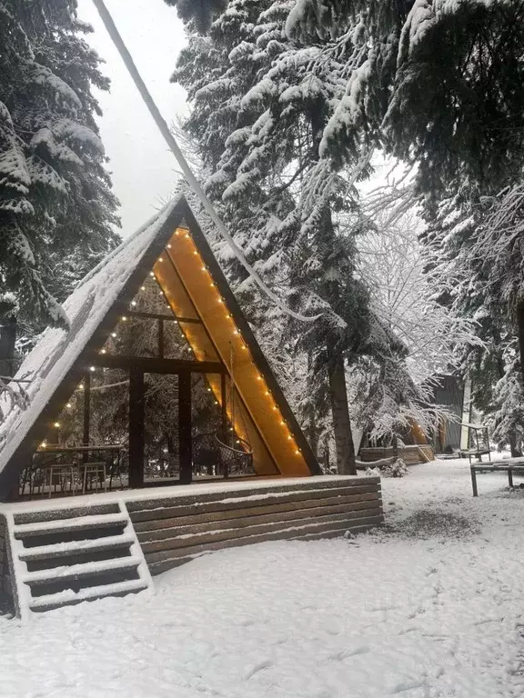 Дом в Карачаево-Черкесия, Зеленчукский район, с. Архыз  (30 м) - Фото 1