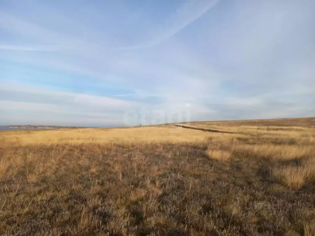 Участок в Крым, Ленинский район, с. Калиновка ул. Абденановой (50.0 ... - Фото 1