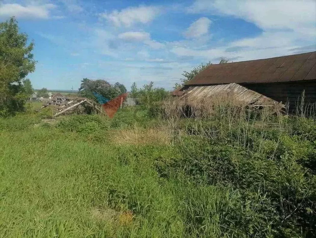 участок в самарская область, красноярский район, большая раковка . - Фото 1