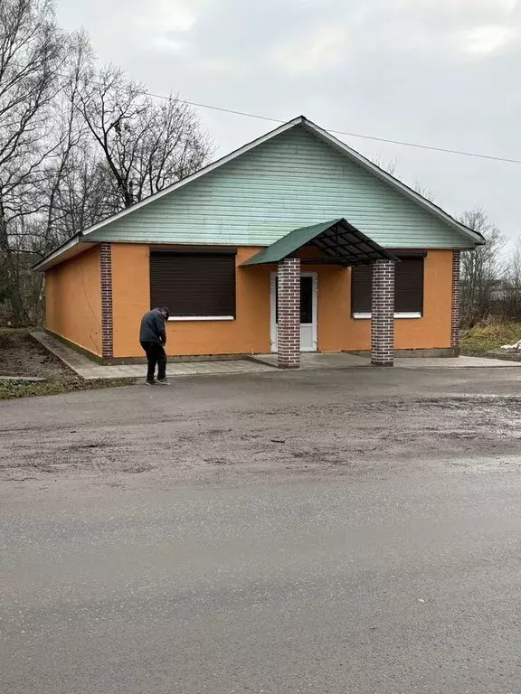 Помещение свободного назначения в Ленинградская область, Луга ул. ... - Фото 2