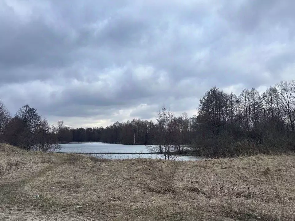 Участок в Нижегородская область, Богородский муниципальный округ, № 12 ... - Фото 0