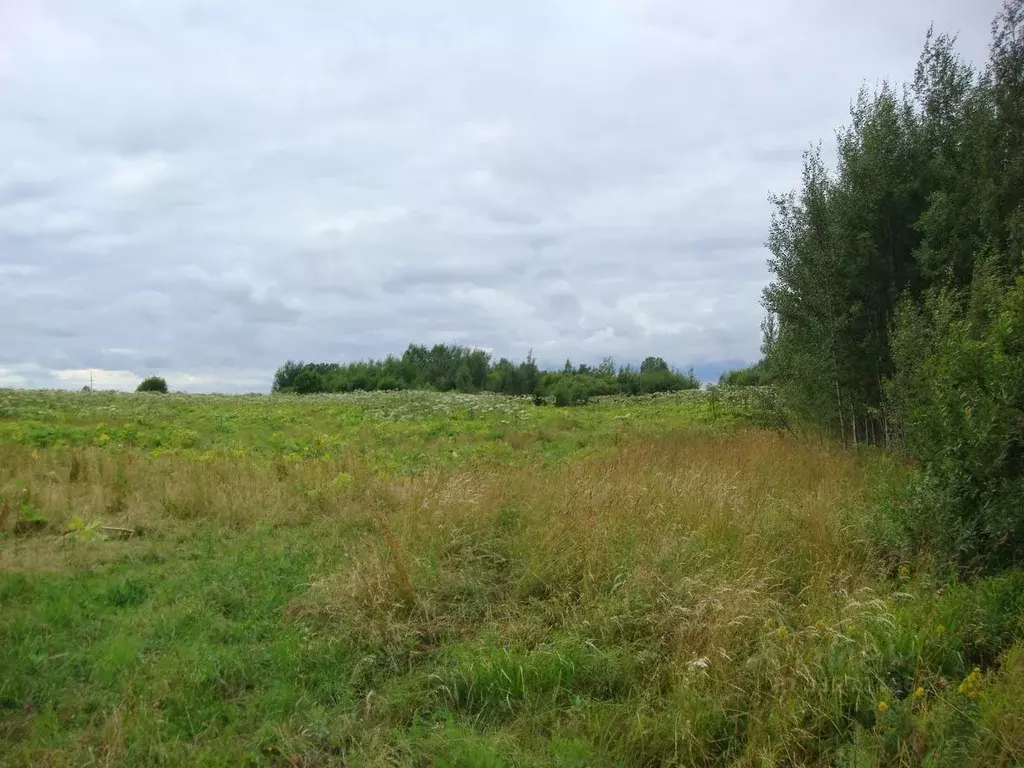 Участок в Псковская область, Псковский муниципальный округ, д. ... - Фото 2