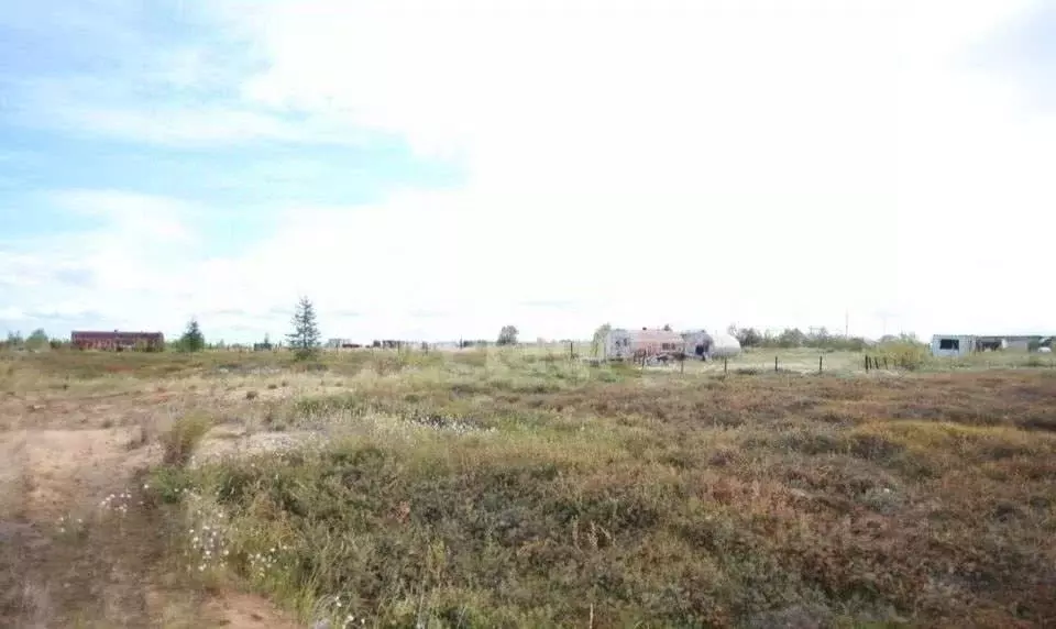 Участок в Ямало-Ненецкий АО, Новый Уренгой Дружба ТСН, проезд 8-й ... - Фото 2