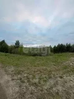 Участок в Свердловская область, Тавда ул. Гагарина (16.16 сот.) - Фото 0