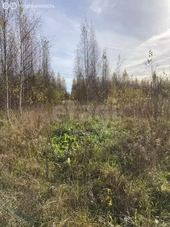 Участок в Костромская область, Макарьевский муниципальный округ, село ... - Фото 0