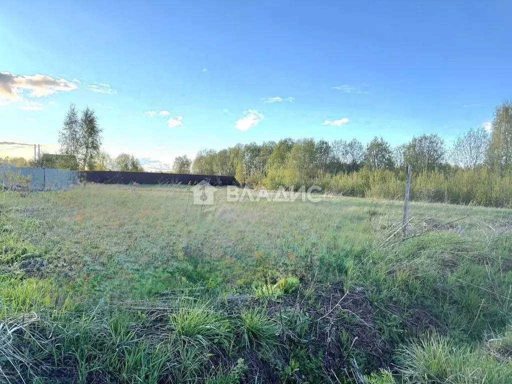 Участок в Московская область, Шаховская муниципальный округ, с. Белая ... - Фото 2