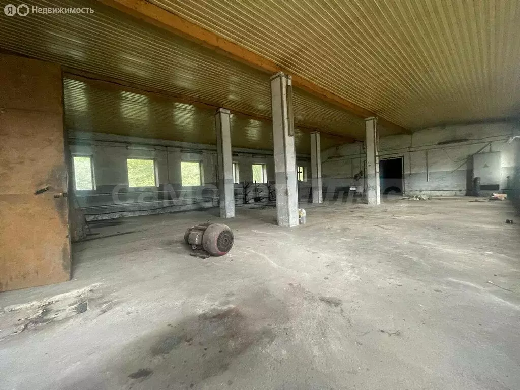 Помещение свободного назначения (909 м) - Фото 2