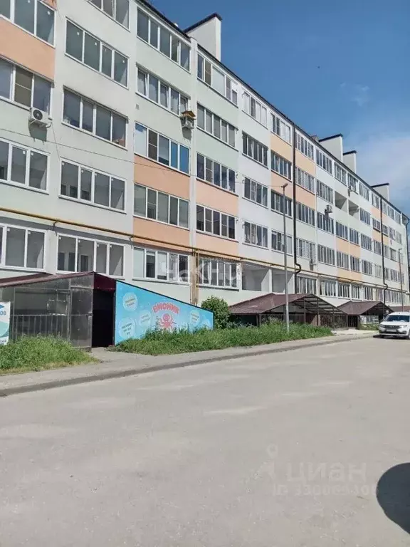 Помещение свободного назначения в Нижегородская область, Городец ... - Фото 1