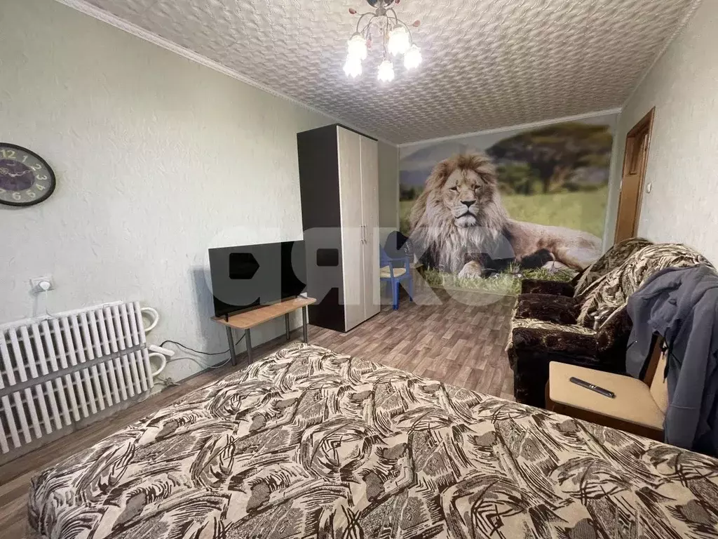 1-к кв. Московская область, Воскресенск городской округ, д. Чемодурово ... - Фото 1