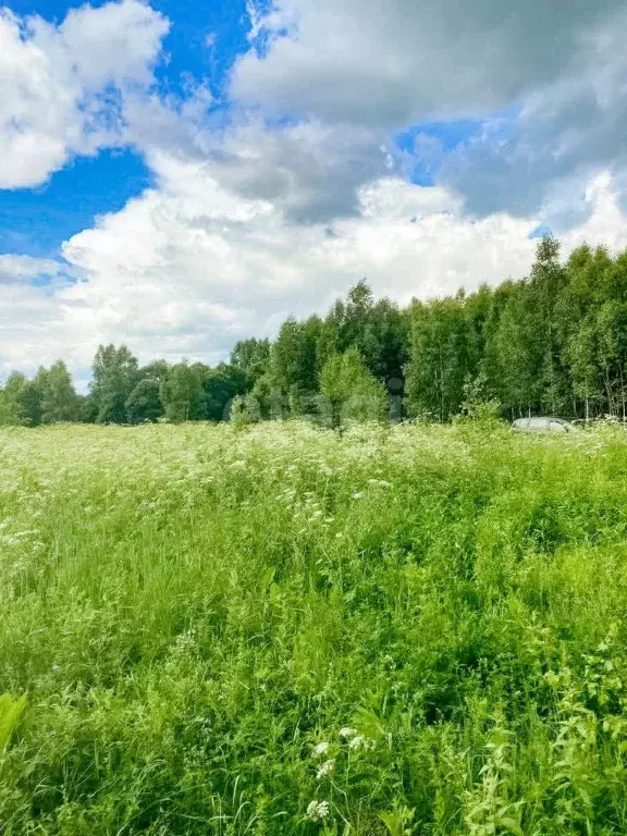 Участок в Ярославская область, Большесельское с/пос, д. Бревино  ... - Фото 0