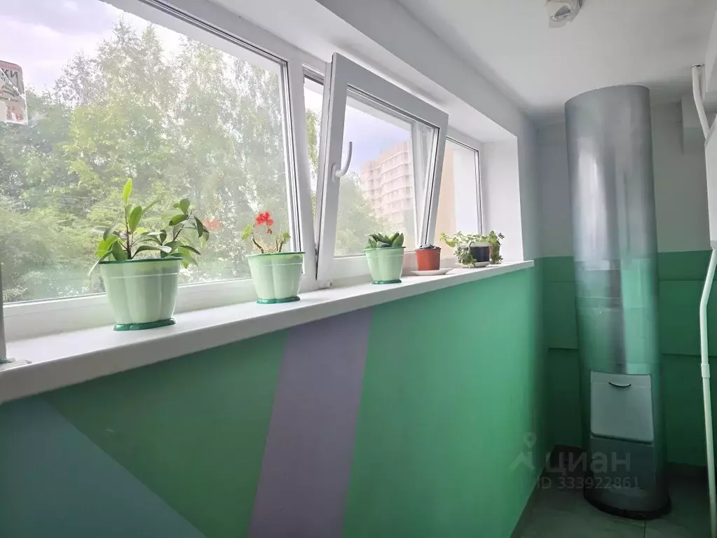 3-к кв. Московская область, Ногинск Богородский городской округ, ул. ... - Фото 2