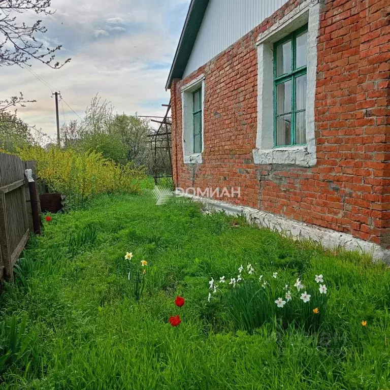 Дом в Ростовская область, Багаевский район, Красный хут. Зеленая ул., ... - Фото 2