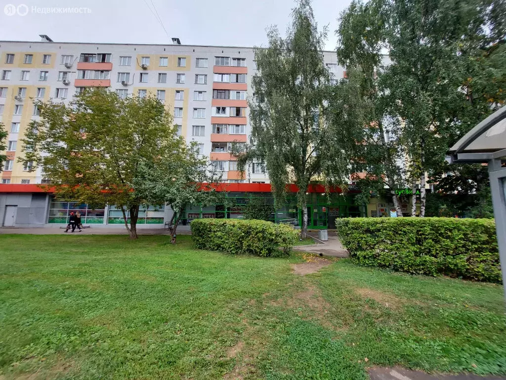 Помещение свободного назначения (11 м) - Фото 2