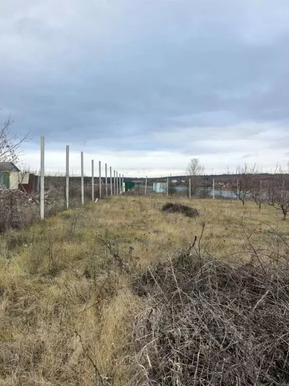 Участок в Белгородская область, Белгородский район, Беломестненское ... - Фото 1