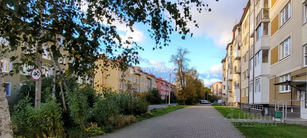 1-к кв. Калининградская область, Калининград Чкаловск мкр, ул. ... - Фото 1