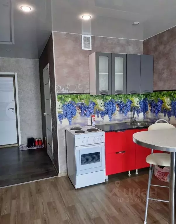 Студия Новосибирская область, Новосибирск ул. Забалуева, 88 (22.0 м) - Фото 2