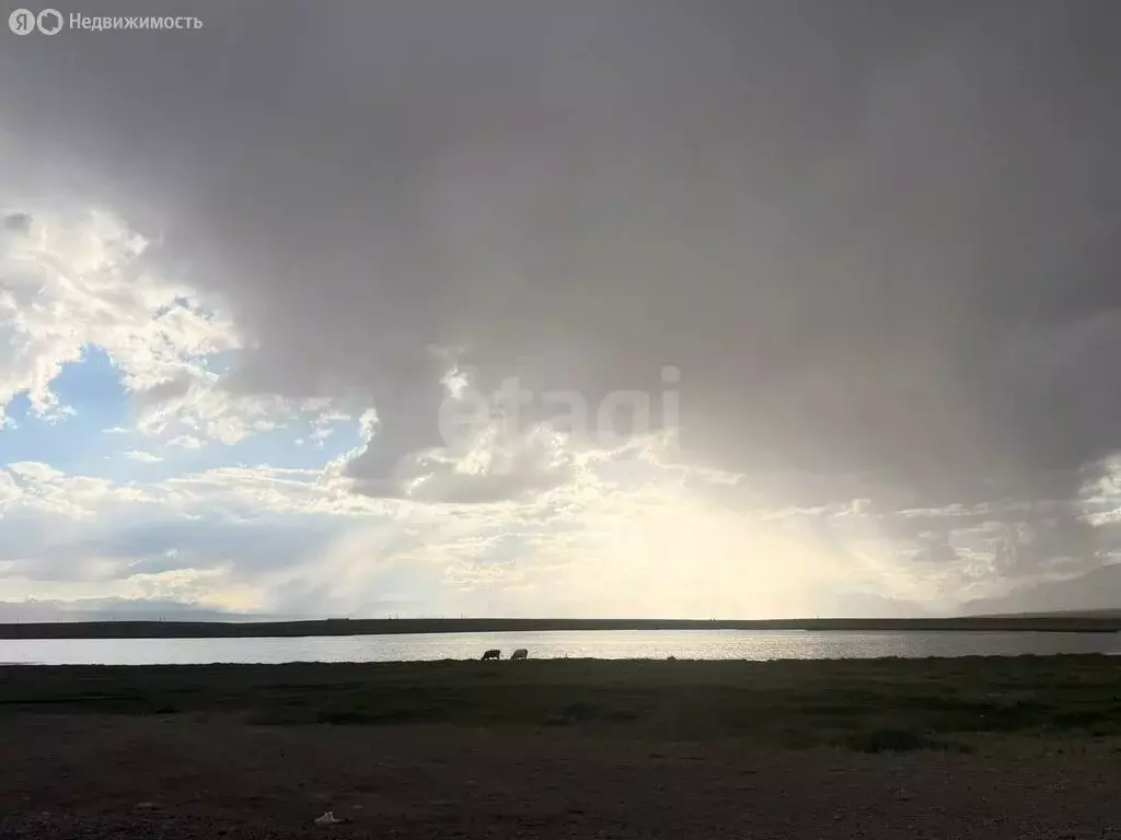 Участок в Республика Алтай, село Кош-Агач (150 м) - Фото 2