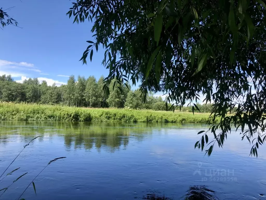 Участок в Ленинградская область, Тосненский район, Федоровское ... - Фото 0