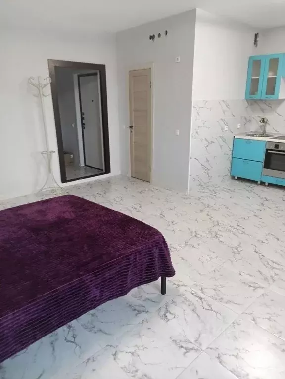 Студия Иркутская область, Иркутск Гусарская тер., 4 (32.0 м) - Фото 2