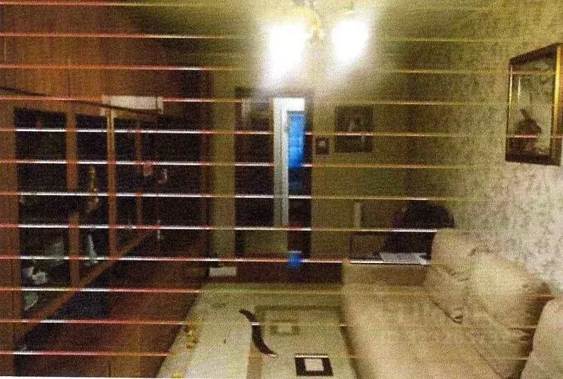 2-к кв. Новосибирская область, Новосибирский район, с. Барышево ... - Фото 2