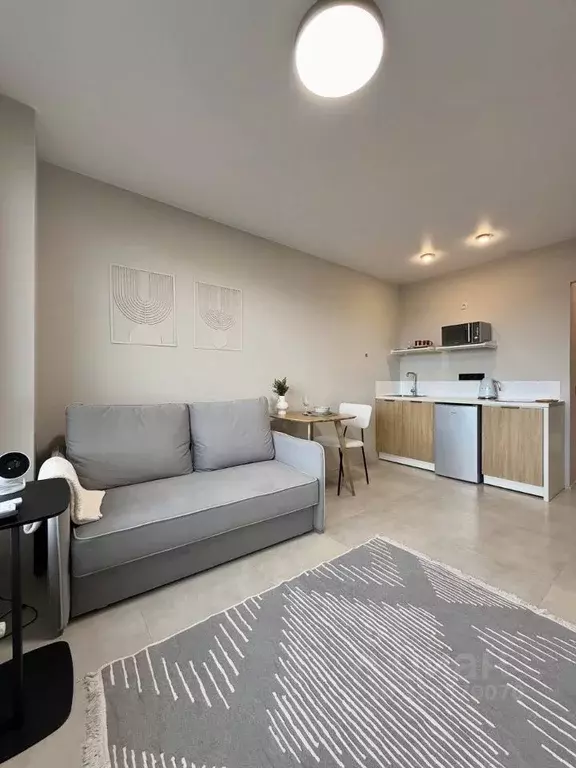 Студия Москва проезд Стройкомбината, 1 (23.0 м) - Фото 2