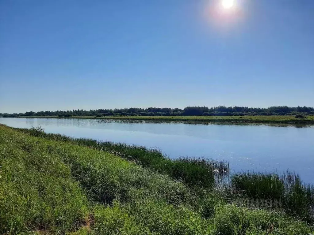 Участок в Новгородская область, Новгородский район, Бронницкое с/пос, ... - Фото 0
