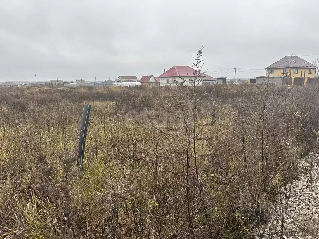 Участок в Брянская область, Брянский район, Добрунское с/пос, д. ... - Фото 2