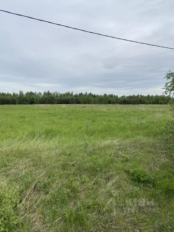 Участок в Владимирская область, Кольчугинский район, Раздольевское ... - Фото 1