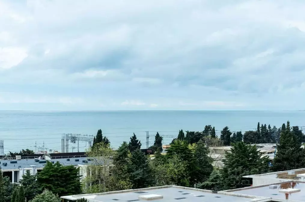 Студия Краснодарский край, Сочи ул. Ленина, 217а (30.0 м) - Фото 2