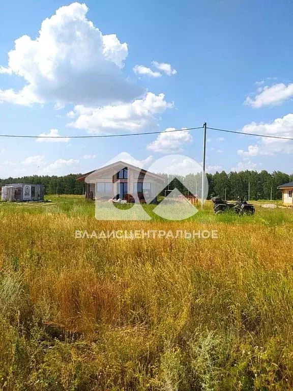 Участок в Новосибирская область, Ордынский район, Порт Пичуги кп ул. ... - Фото 1