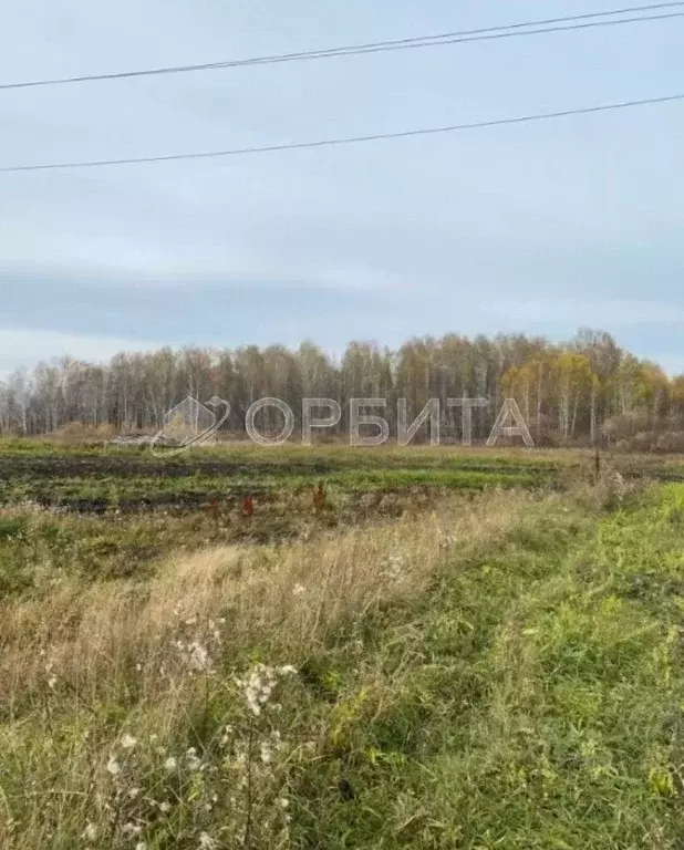 Участок в Свердловская область, Слободо-Туринский район, ... - Фото 1