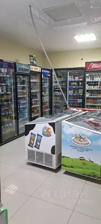 Помещение свободного назначения в Ростовская область, Ростов-на-Дону ... - Фото 2