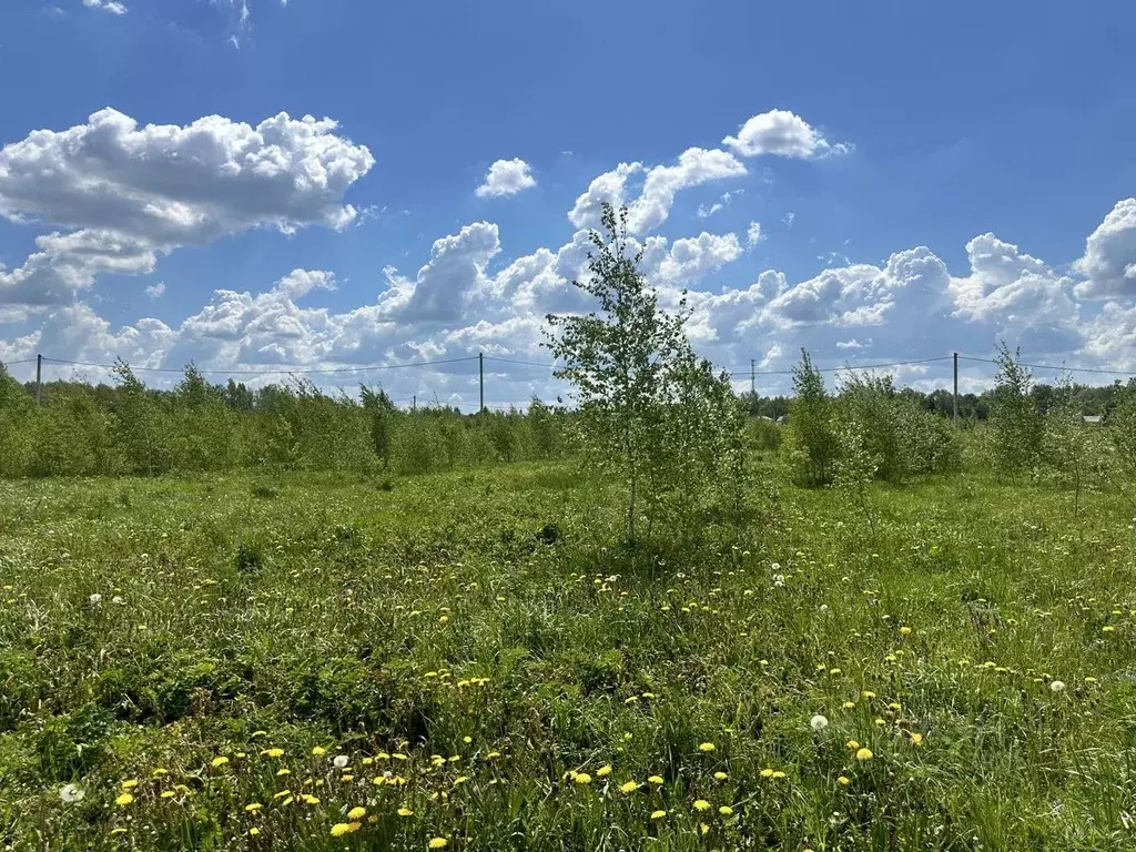 Участок в Московская область, Ступино городской округ, Новое Лисичкино ... - Фото 0