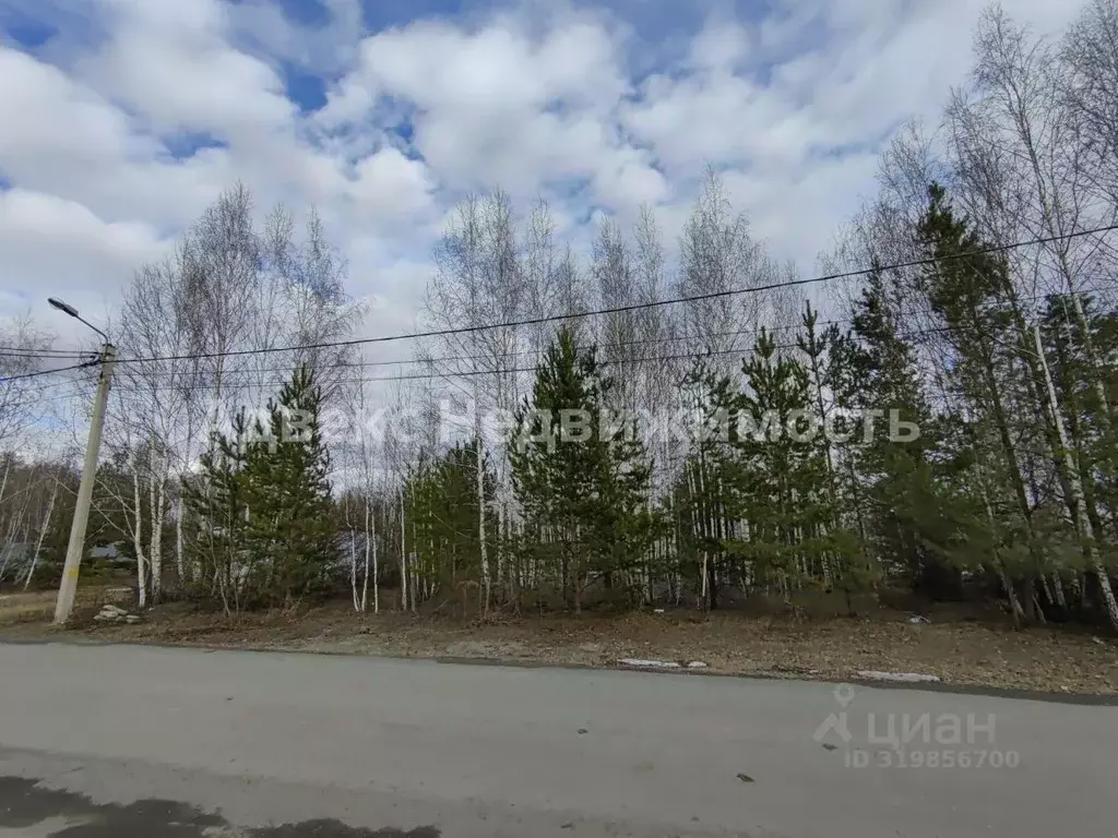 Участок в Тюменская область, Тюмень Три Сосны мкр, ул. Малиновая (14.5 ... - Фото 1
