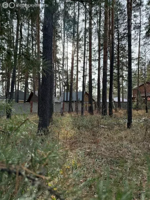 Участок в Иркутский муниципальный округ, деревня Новолисиха, Дорожная ... - Фото 2