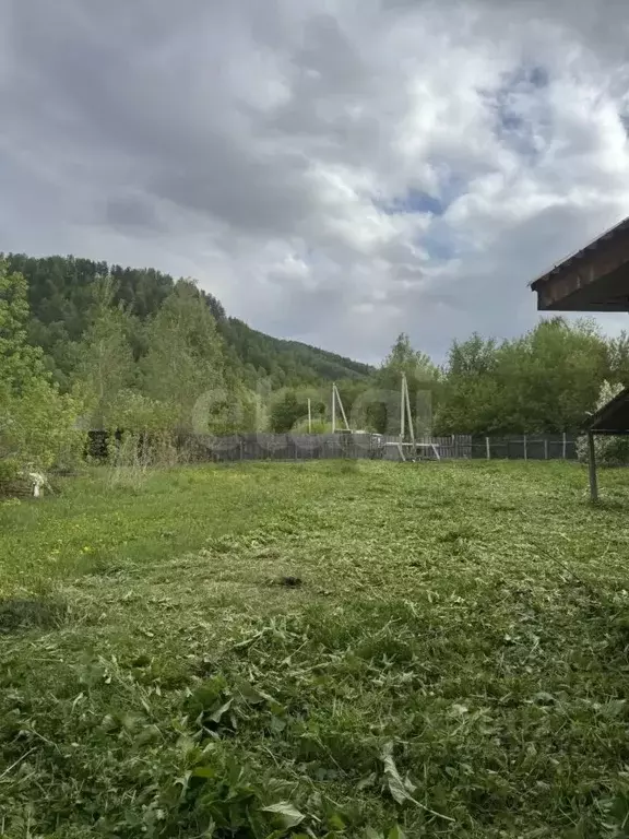 Участок в Алтай, Майминский район, Соузгинское с/пос, пос. Черемшанка ... - Фото 1