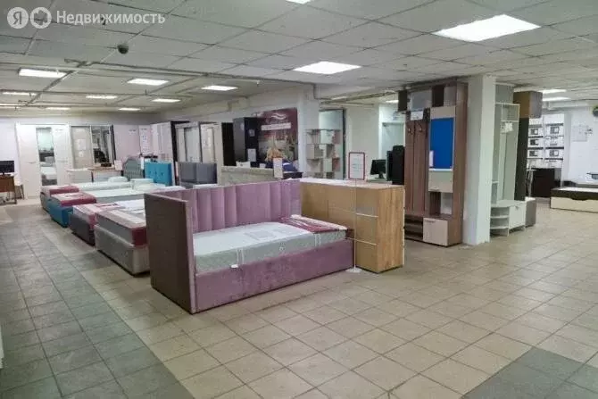 Помещение свободного назначения (290 м) - Фото 0