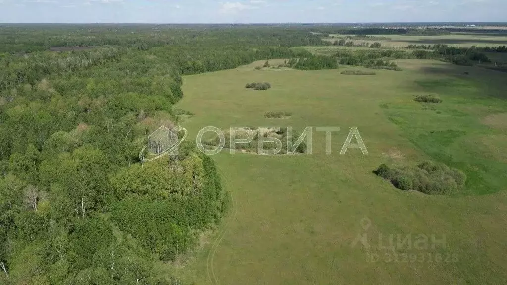 Участок в Тюменская область, Тюменский район, д. Зырянка  (600.01 ... - Фото 1